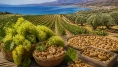 Organik tarımda Ege ve İzmir vurgusu öne çıktı