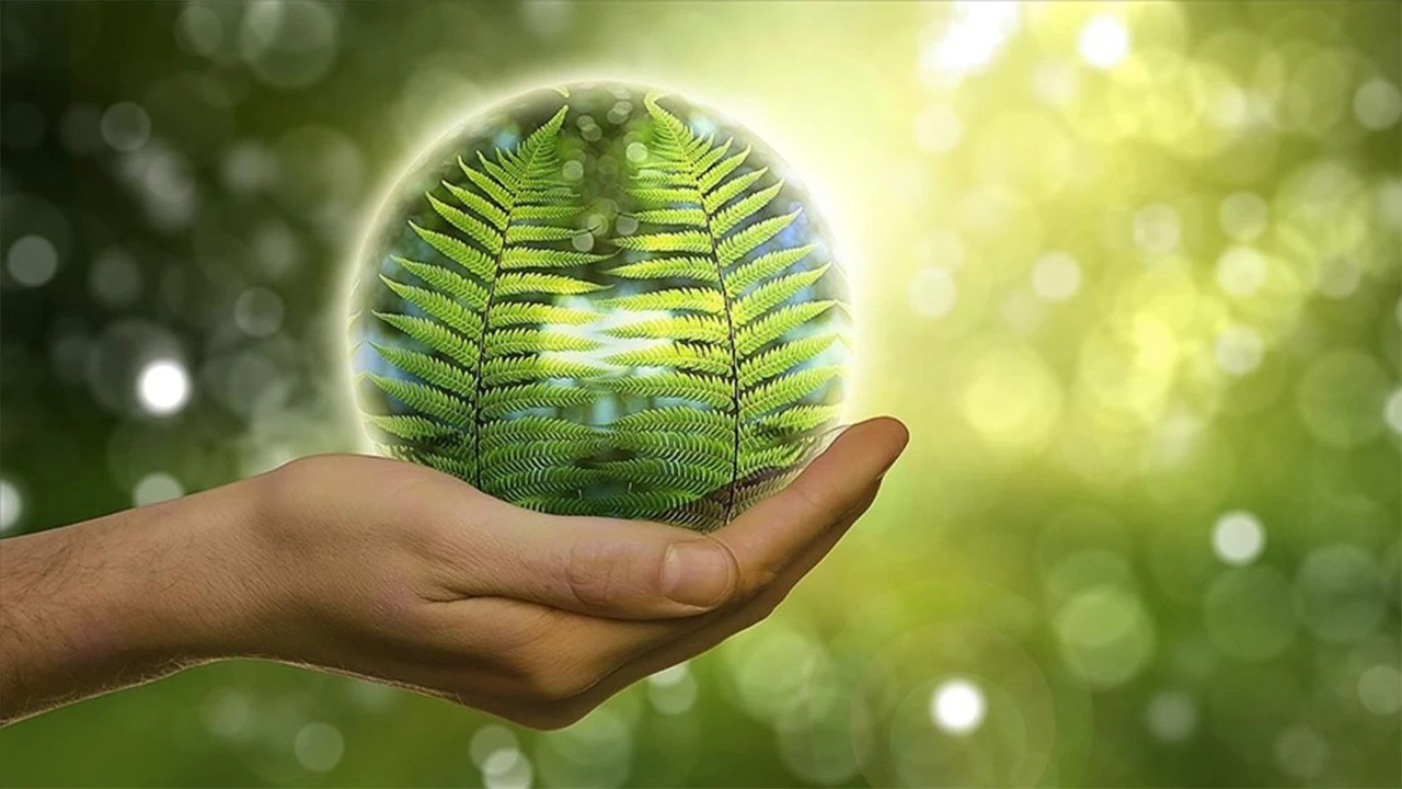 Yeşil hidrojen için İzmir–Kocaeli hattı gündemde