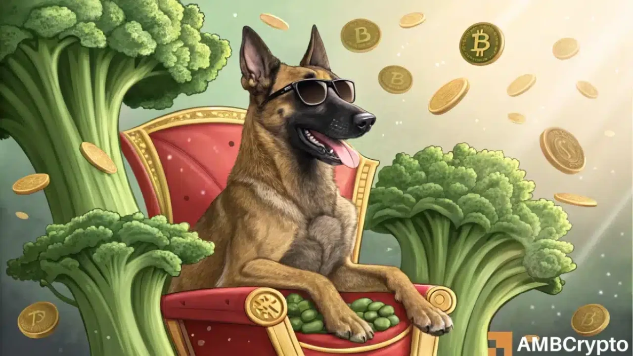 Broccoli Coin sahneye çıkıyor: Kripto dünyasının “yeşil” oyuncusu!