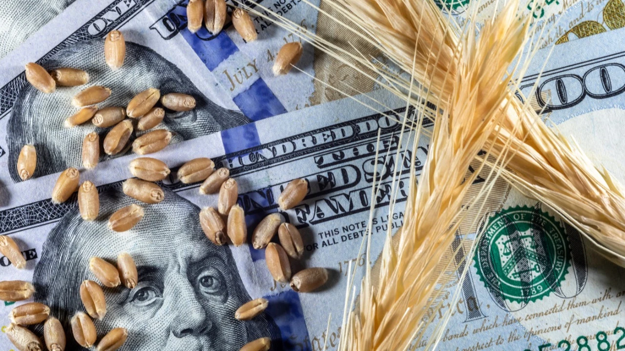 Petrol, tahıl, kakao geriledi: Dünya fiyatları dipte