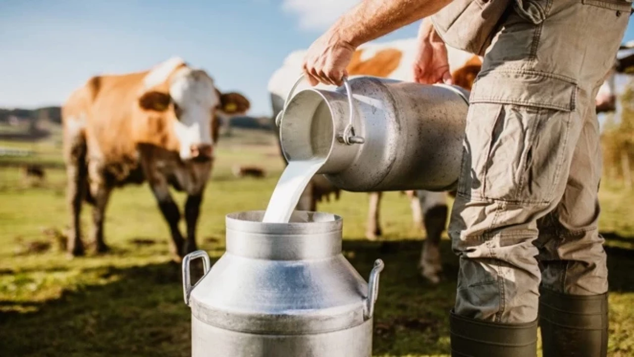 Süt fiyatlarında üretici–market makası rekor kırdı: Yeni zam kapıda!