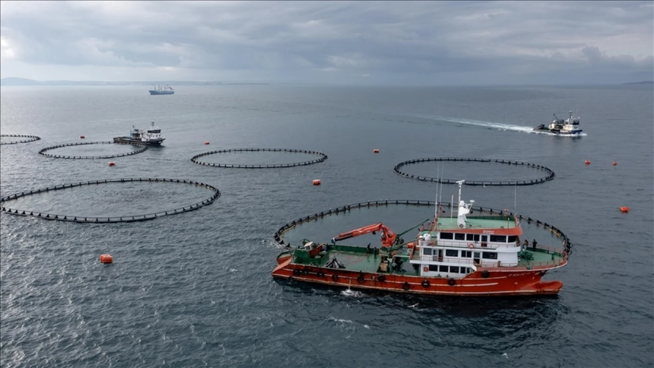 Karadeniz ihracatta ivme kazandı: Hedef 380 milyon dolar