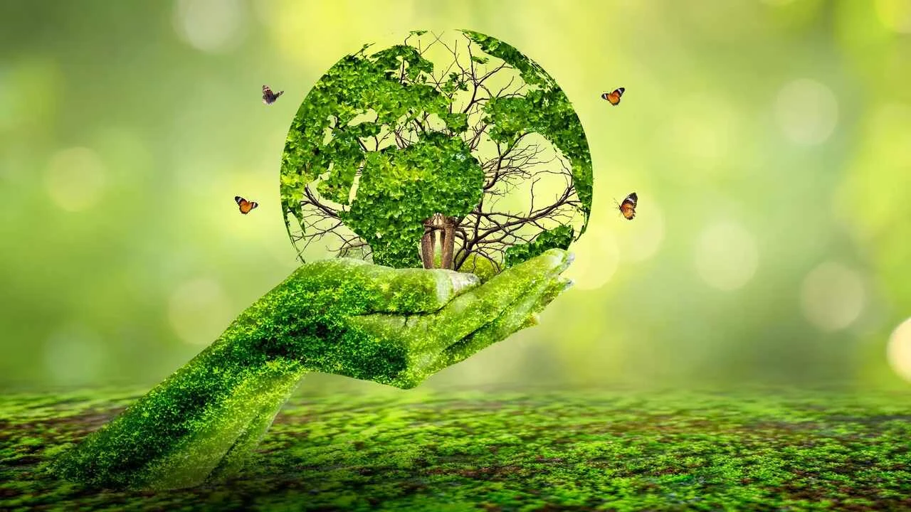 Bankaların iklim hedeflerinde ilerleme sınırlı kaldı