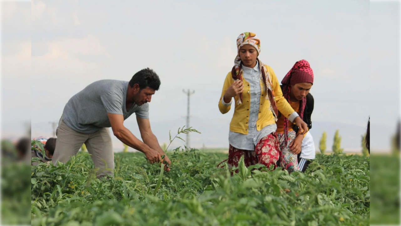 Çiftçilere otomatik BAĞ-KUR zorunluluğu başladı