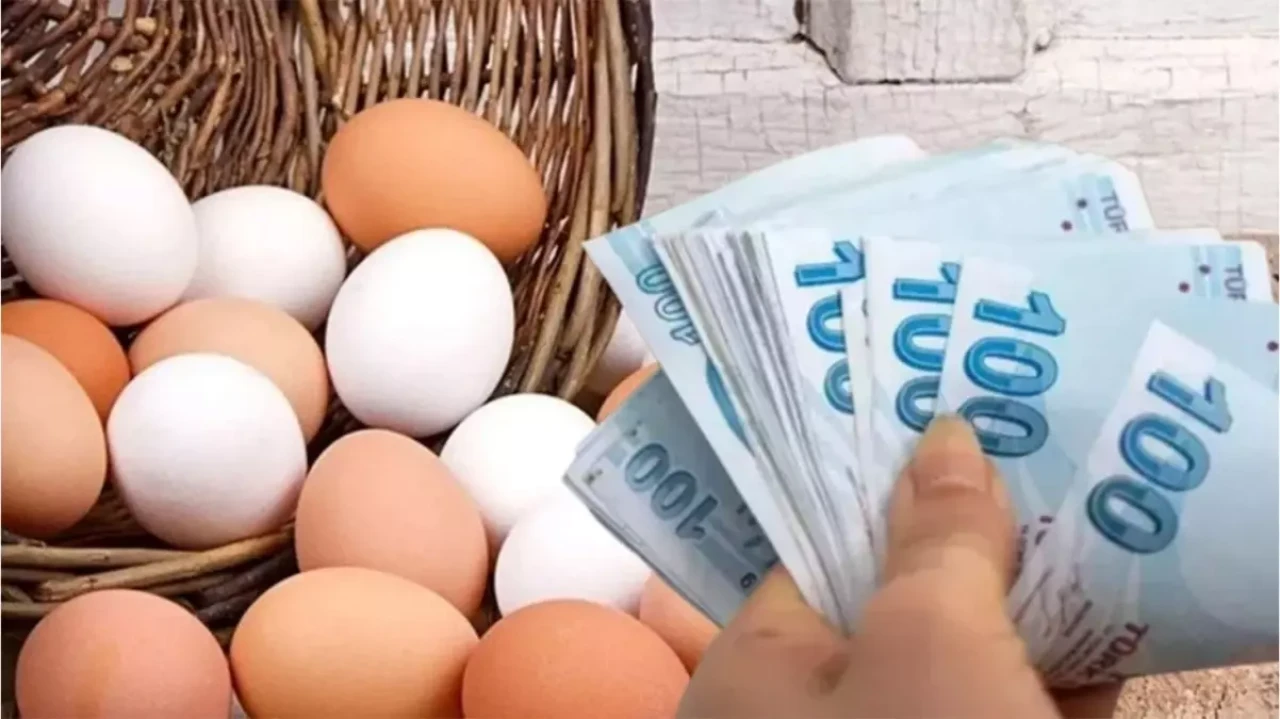 Yumurtada fiyat dalgalanması: Duble zam, piliç indirimde