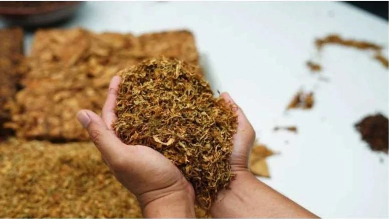 Tütün ticareti dijital takibe alınıyor! Ürün izleme sistemi geliyor