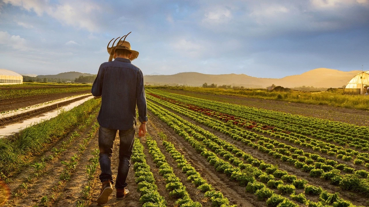 Çiftçiye 6 ayda 90 milyar TL destek