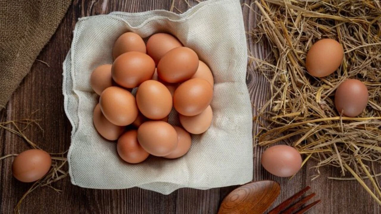 Kayseri’de yumurta fiyatları düştü: Talep azaldı, piyasa geriledi