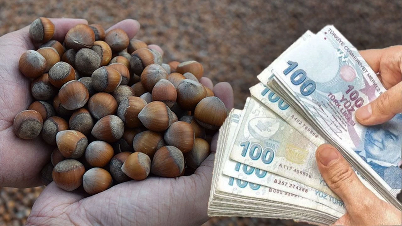 Beklenen açıklama geldi: Fındık alım fiyatı üreticiyi tatmin etti mi?