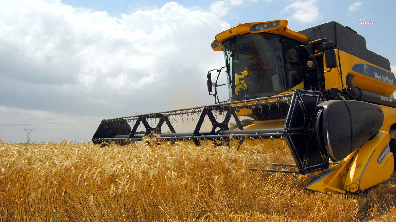 Nüfus artıyor, buğday ekili alanlar zalıyor