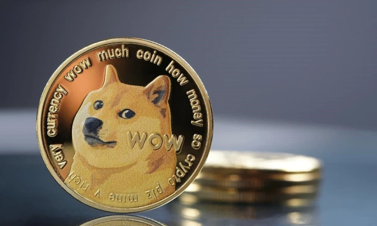 Shiba Coin kaç TL?
