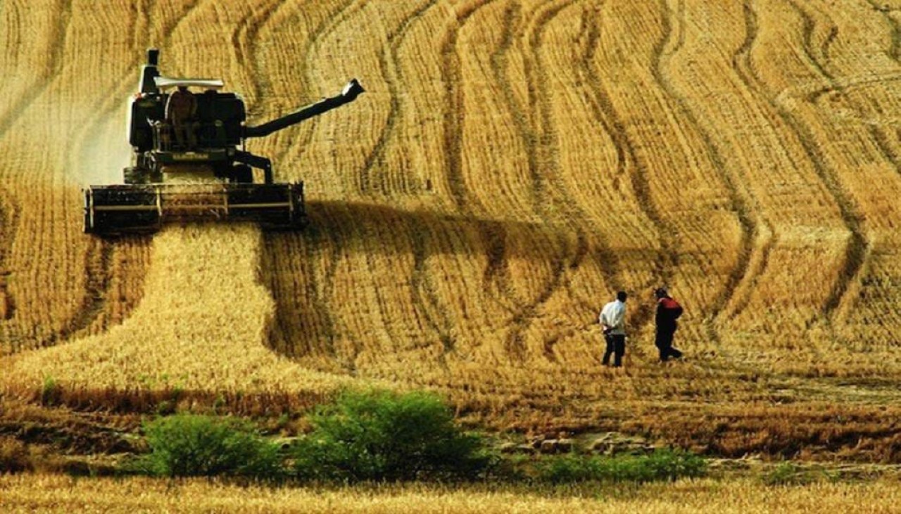 Tarım Sektörü Kredi Stoku 105 Milyar Lirayı Aştı!