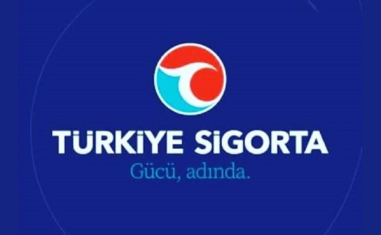 Türkiye Sigorta Kimin Devletin Mi Özel Mi?