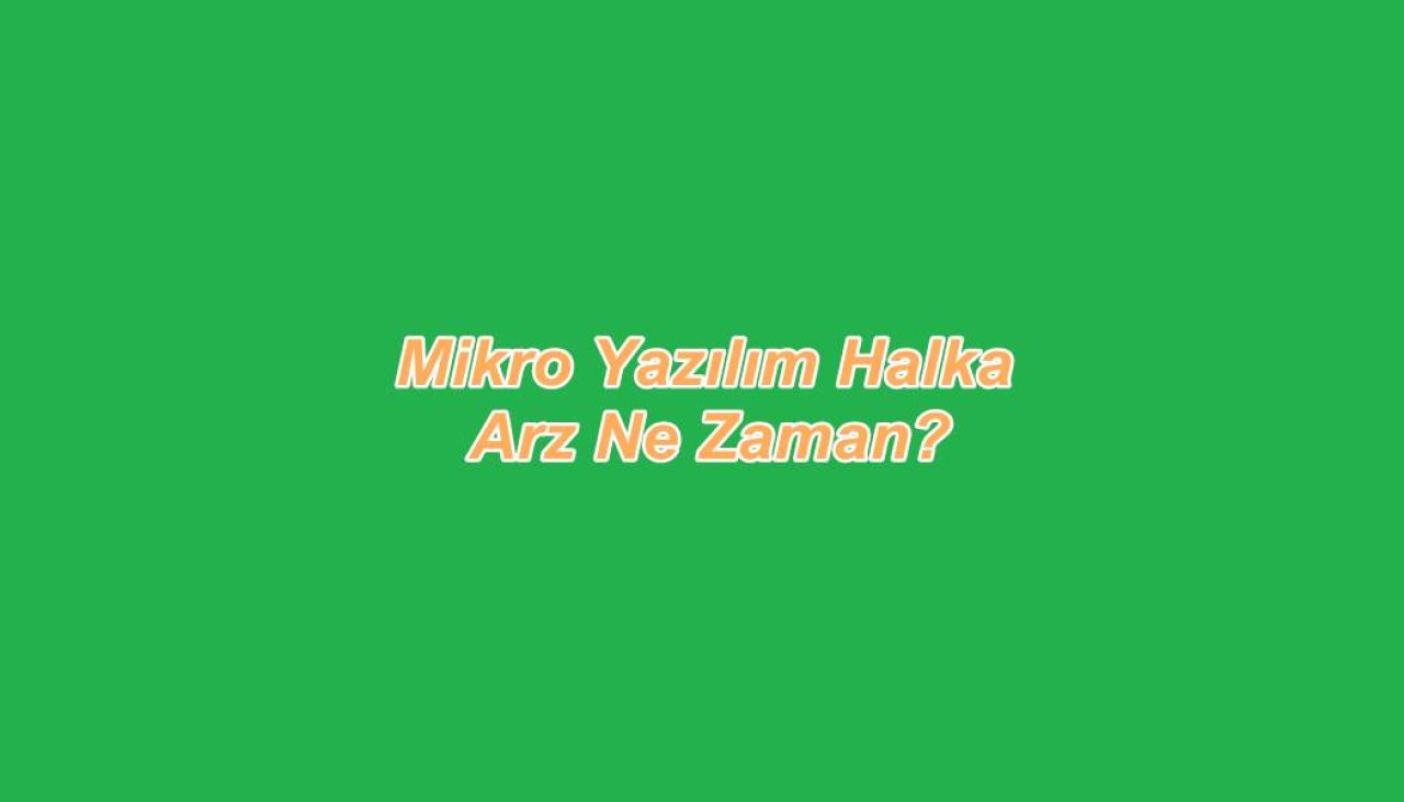 Mikro Yazılım Sahibi Kim? Mikro Yazılım Halka Arz Ne Zaman?