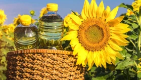 Ayçiçek yağı ihracatında rekor artış: Türkiye 1 milyar dolara dayandı