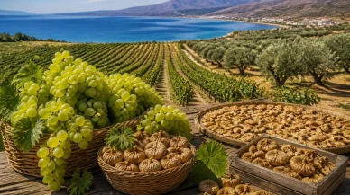 Organik tarımda Ege ve İzmir vurgusu öne çıktı