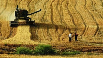 Tarım Sektörü Kredi Stoku 105 Milyar Lirayı Aştı!