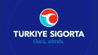 Türkiye Sigorta Kimin Devletin Mi Özel Mi?