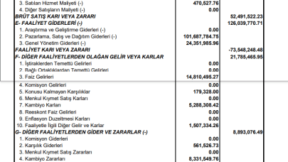 ADESE: Adese Gelir Tablosu 74 Milyon TL Zarar Yazdı