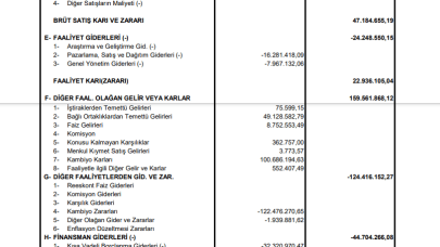 AYEN: Ayen Enerji Gelir Tablosu 14 Milyon TL Kar Yazdı