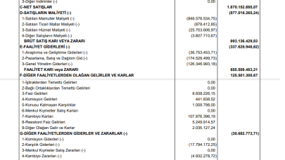 DEVA: Deva Holding Gelir Tablosu 635 Milyon TL Kar Yazdı