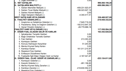 DGKLB: Doğtaş Kelebek Mobilya Gelir Tablosu Açıklandı