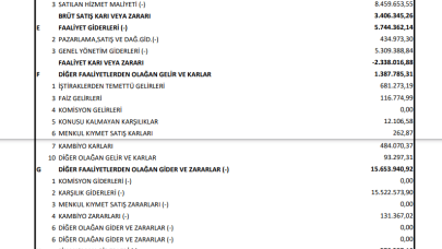 FLAP: Flap Gelir Tablosu 17 Milyon TL Zarar Yazdı