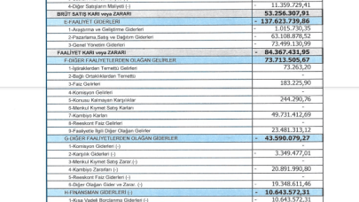 HURGZ: Hürriyet Gelir Tablosu 45 Milyon TL Zarar Yazdı