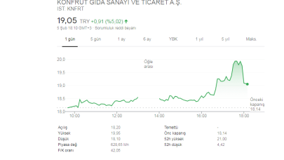 Konfrut Gıda Kimin Ortaklık Yapısı ve KNFRT Hisse