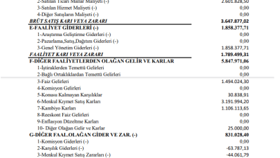 METUR: Metemtur Gelir Tablosu Kar Yazdı