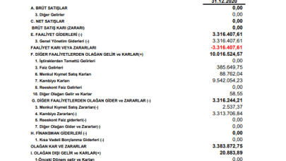 RHEAG: RHEA Girişim Gelir Tablosu Açıklandı