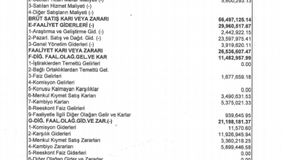 RTALB: RTA Laboratuvarları Gelir Tablosu Açıklandı