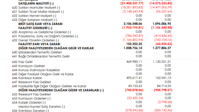 SELGD: Selçuk Gıda Gelir Tablosu Kar Yazdı