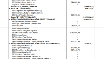 VANGD: Vanet Gıda Gelir Tablosu Kar Yazdı