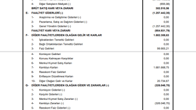 YAYLA: Yayla Enerji Gelir Tablosu Zarar Yazdı