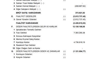 YYAPI: Yeşil Yapı Gelir Tablosu 17 Milyon TL Kar Yazdı!