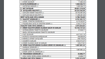 CEOEM: CEO Event Medya Gelir Tablosu Kar Yazdı