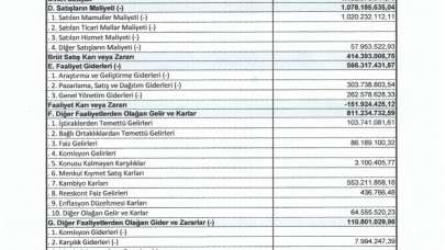 AEFES: Anadolu Efes Gelir Tablosu Zarar Yazdı