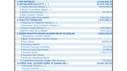 AKSUE: Aksu Enerji Gelir Tablosu Zarar Yazdı