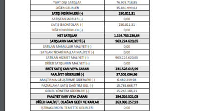 ALCTL: Alcatel Gelir Tablosu Kar Yazdı