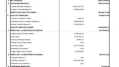 ALKIM: Alkim Alkali Gelir Tablosu Kar Yazdı