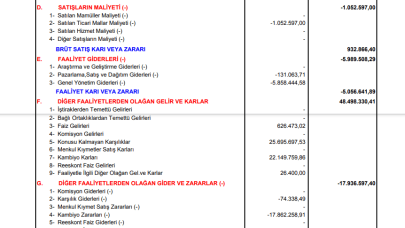 ALMAD: Altınyağ Madencilik Gelir Tablosu Kar Yazdı