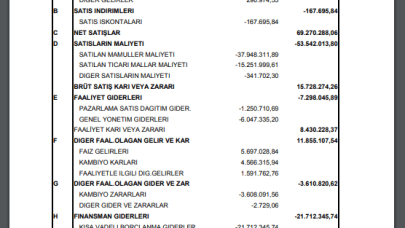 AVOD: A.V.O.D. Gelir Tablosu Zarar Yazdı