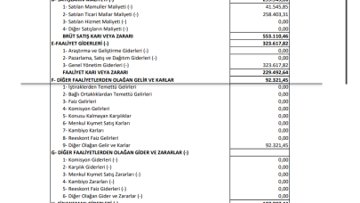 BALAT: Balatacılar Balatacılık Gelir Tablosu Kar Yazdı