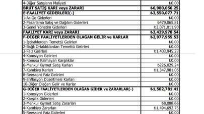 BAYRK: Bayrak EBT Gelir Tablosu Kar Yazdı