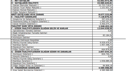 BURCE: Burçelik Gelir Tablosu Kar Yazdı