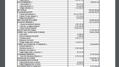 DITAS: Ditaş Doğan Gelir Tablosu 12 Milyon TL Kar Yazdı