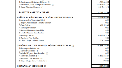DURDO: Duran Doğan Gelir Tablosu Zarar Yazdı