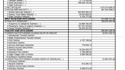 DYOBY: DYO Boya Gelir Tablosu 119 Milyon TL Kar Yazdı