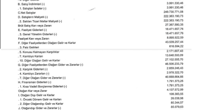 DZGYO: Deniz GYO Gelir Tablosu Kar Yazdı